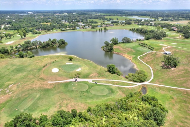 1233 Emerald Hill Way, Valrico, FL 33594 - bird's eye view of a nearby body of water and a golf club