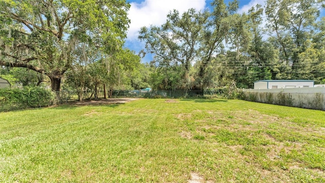 3829 Abbott Ln, Lakeland, FL 33810 - view of yard