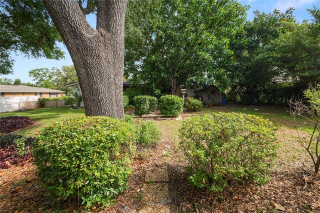 509 Rob Roy St, Lakeland, FL 33813 - view of yard