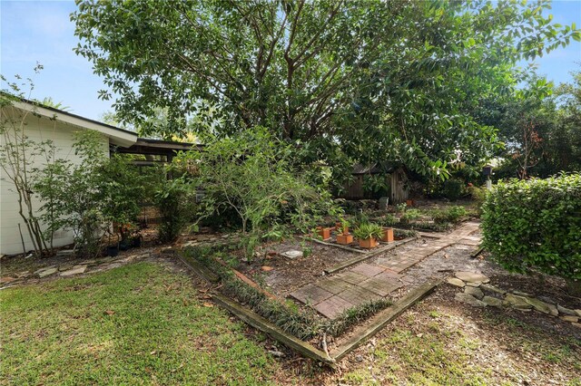 509 Rob Roy St, Lakeland, FL 33813 - view of yard with a vegetable garden