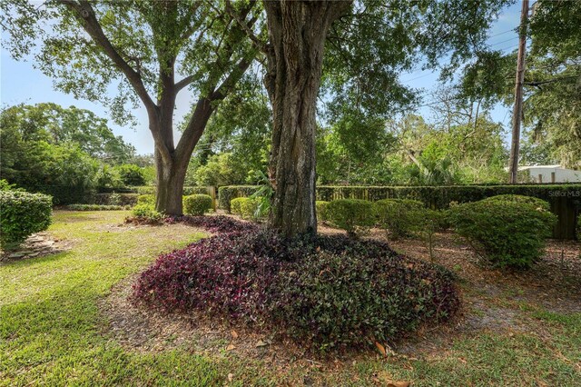 509 Rob Roy St, Lakeland, FL 33813 - view of yard