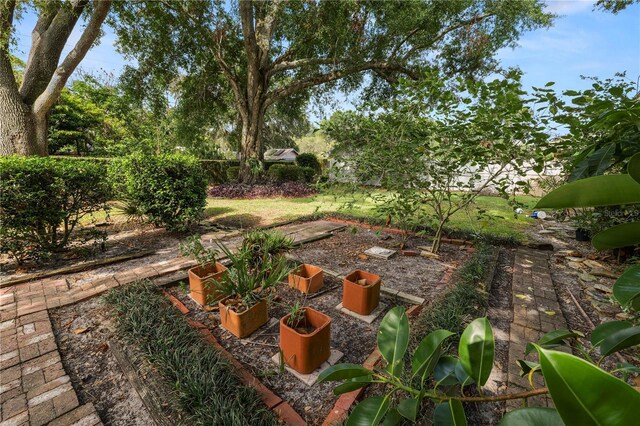 509 Rob Roy St, Lakeland, FL 33813 - view of fenced backyard