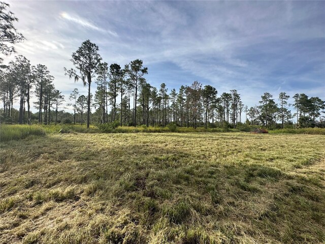 10069 County Road 555, Fort Meade, FL 33841 - photo 5