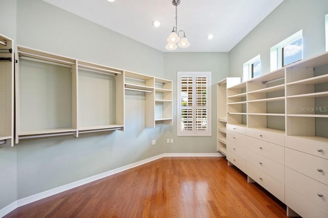 2425 Laurel Glen Dr, Lakeland, FL 33803 - walk in closet with wood finished floors and a chandelier