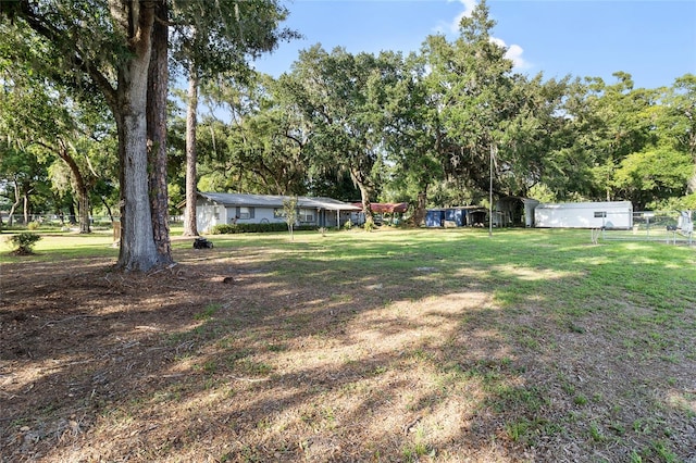 2920 Audie Combee Rd, Lakeland, FL 33801 - view of yard with view of scattered trees