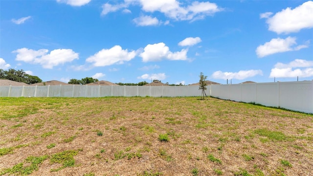 2546 Red Egret Dr, Bartow, FL 33830 - view of yard