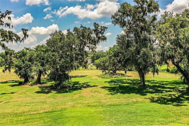 3176 Pearly Dr, Lakeland, FL 33812 - surrounding community with a lawn and view of scattered trees