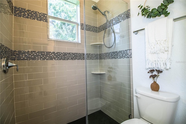 3176 Pearly Dr, Lakeland, FL 33812 - full bathroom with toilet and tiled shower