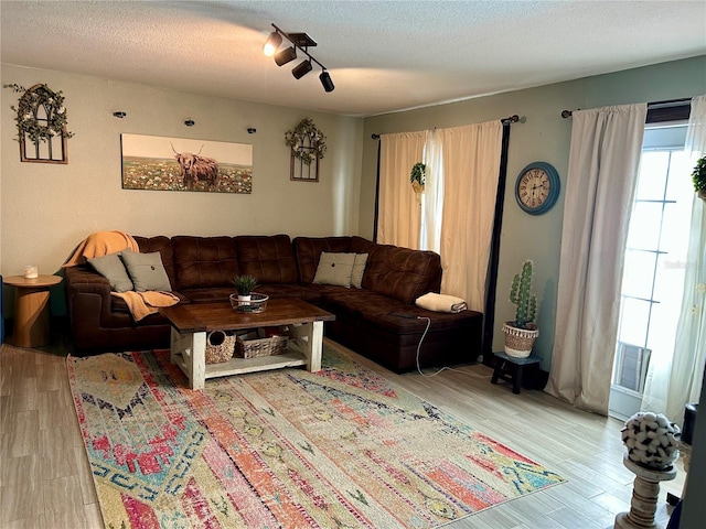103 Inglis Way, Wauchula, FL 33873 - living area with light wood-type flooring, a textured ceiling, and rail lighting