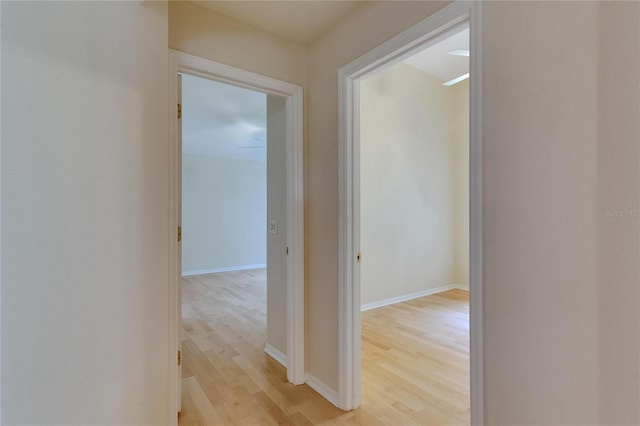 1003 Clearpointe Way, Lakeland, FL 33813 - hall with light wood-type flooring and baseboards