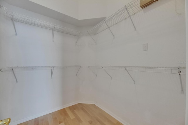 1003 Clearpointe Way, Lakeland, FL 33813 - spacious closet with light wood-type flooring