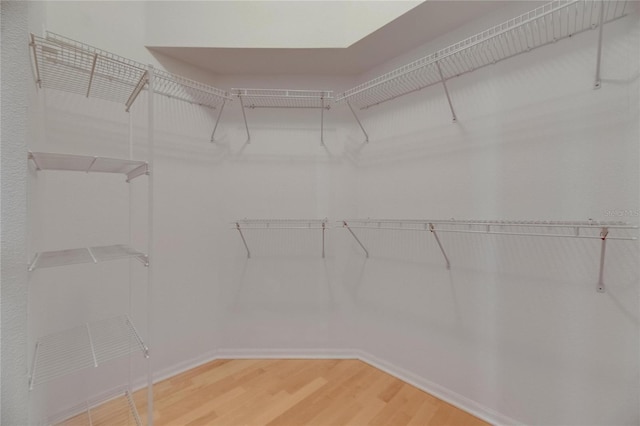 1003 Clearpointe Way, Lakeland, FL 33813 - spacious closet featuring light wood-type flooring