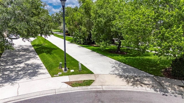 1003 Clearpointe Way, Lakeland, FL 33813 - surrounding community featuring a lawn and view of wooded area