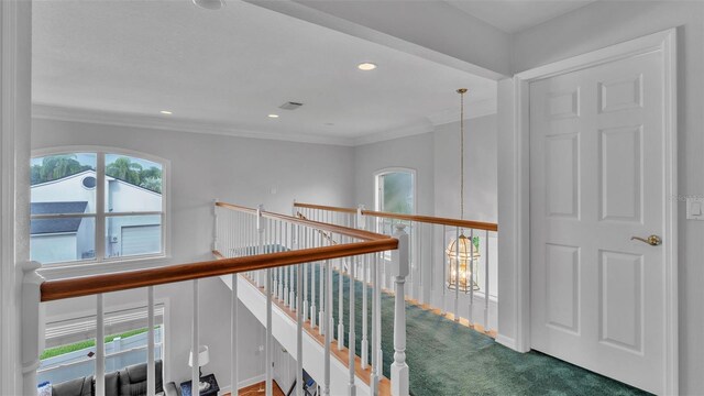 601 Peninsular Dr, Lakeland, FL 33813 - photo 35