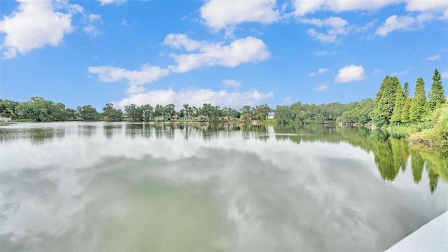 601 Peninsular Dr, Lakeland, FL 33813 - photo 46