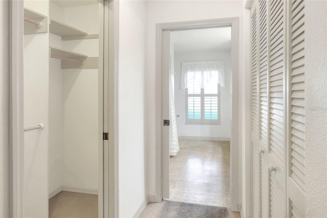 6065 Magpie Dr, Lakeland, FL 33809 - hallway with baseboards