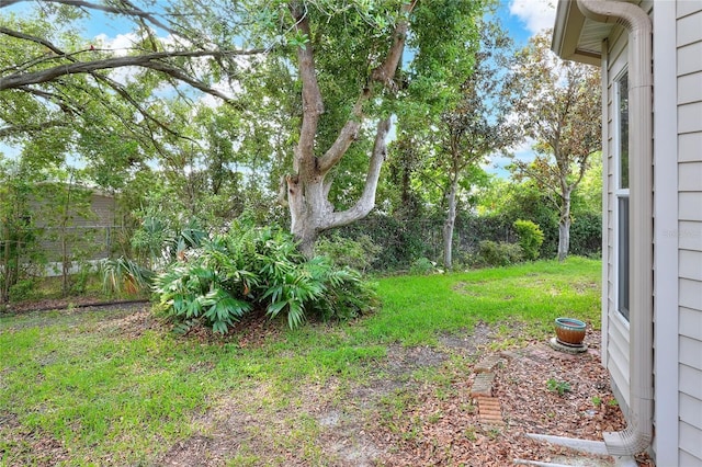 6065 Magpie Dr, Lakeland, FL 33809 - view of yard