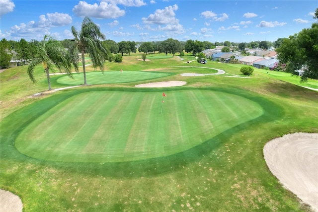 6065 Magpie Dr, Lakeland, FL 33809 - surrounding community with a yard, view of scattered trees, and golf course view