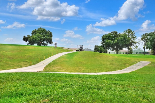 6065 Magpie Dr, Lakeland, FL 33809 - surrounding community with a lawn