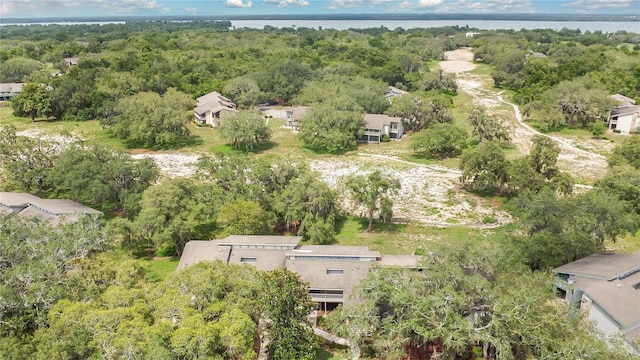 321 Birch Way Unit 321, Haines City, FL 33844 - aerial overview of property's location with a heavily wooded area, a large body of water, and nearby suburban area
