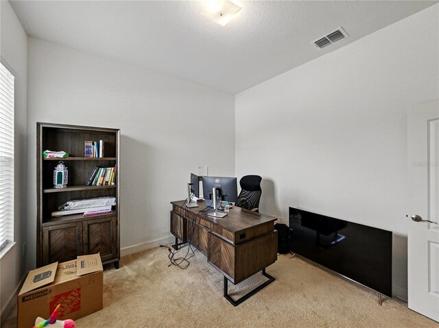 1547 Cordgrass Way, Lakeland, FL 33813 - office with light carpet, baseboards, and lofted ceiling