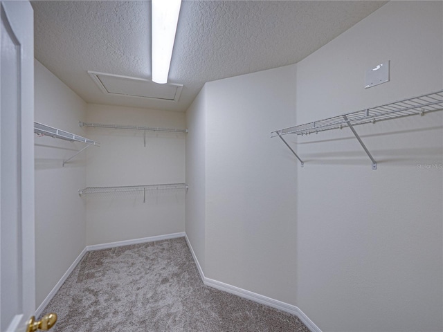 143 Alfani St, Davenport, FL 33896 - spacious closet featuring carpet and attic access