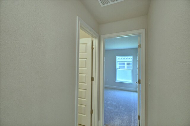 4300 Juliana Lake Dr, Auburndale, FL 33823 - photo 29