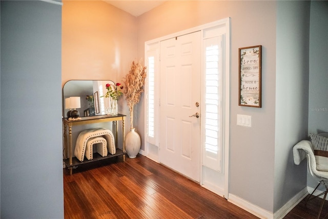 11567 Misty Isle Ln, Riverview, FL 33579 - entryway with dark wood-style flooring and baseboards