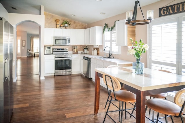 11567 Misty Isle Ln, Riverview, FL 33579 - kitchen featuring stainless steel appliances, a sink, vaulted ceiling, dark wood-style flooring, and arched walkways