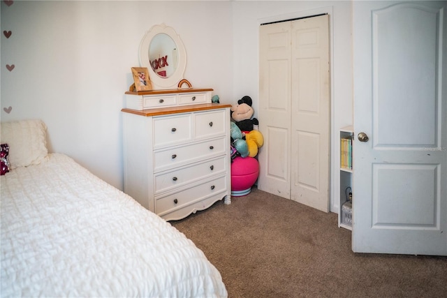 11567 Misty Isle Ln, Riverview, FL 33579 - bedroom featuring carpet flooring and a closet