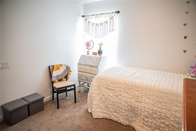11567 Misty Isle Ln, Riverview, FL 33579 - bedroom featuring carpet flooring