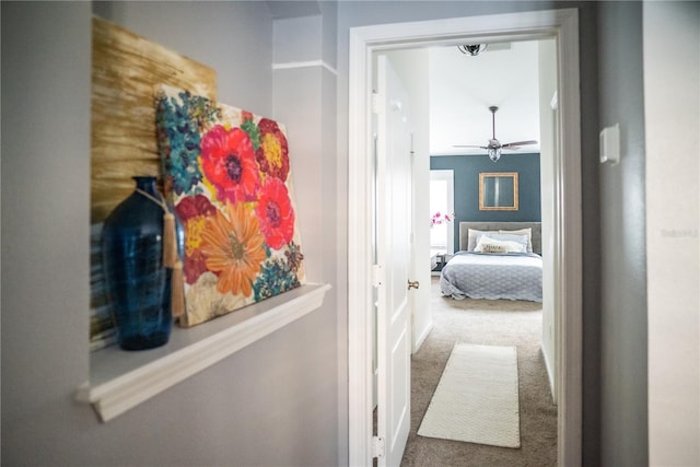 11567 Misty Isle Ln, Riverview, FL 33579 - corridor with carpet floors