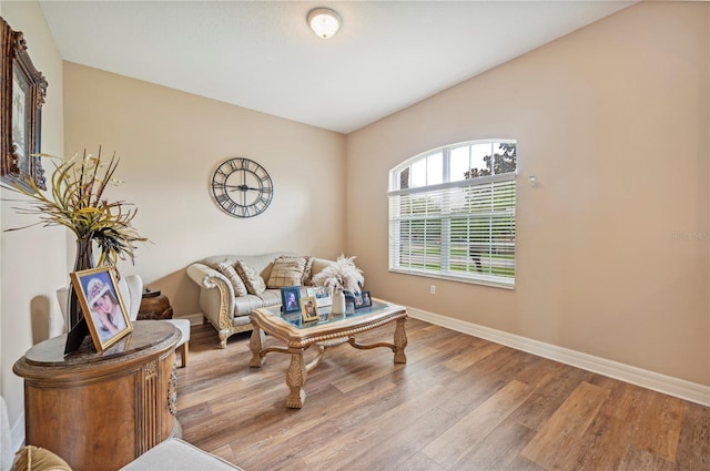 6339 Alamanda Hills Dr, Lakeland, FL 33813 - living area featuring wood finished floors and baseboards