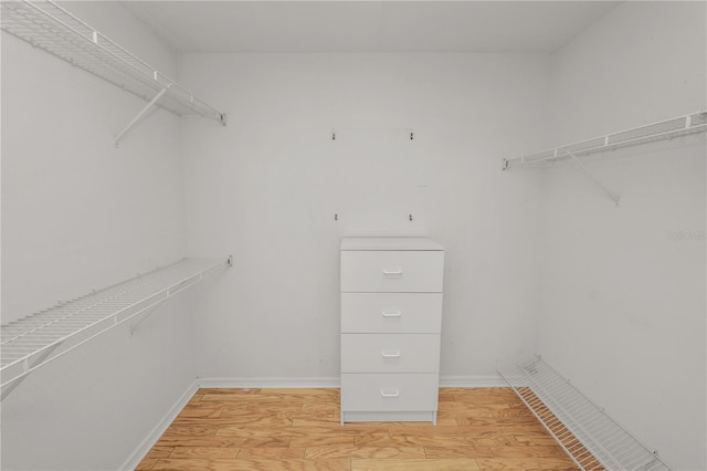 1130 Ewell Rd, Lakeland, FL 33811 - spacious closet featuring light wood-style flooring