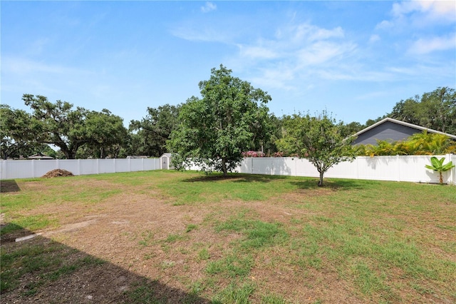 1130 Ewell Rd, Lakeland, FL 33811 - view of yard
