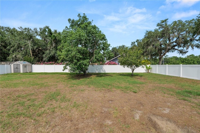 1130 Ewell Rd, Lakeland, FL 33811 - view of yard