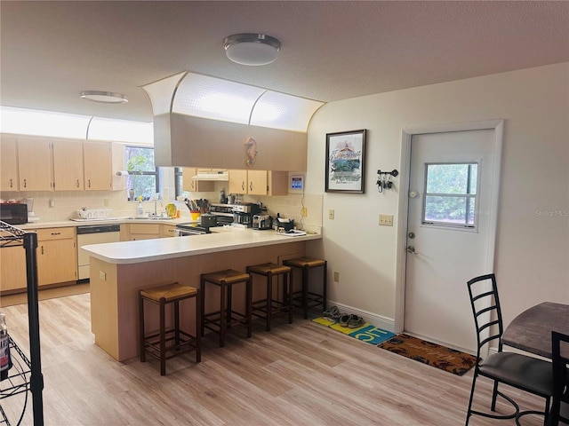 2430 Gresham St, Sebring, FL 33875 - kitchen with dishwashing machine, a peninsula, light wood-style floors, stainless steel range with electric cooktop, and light countertops
