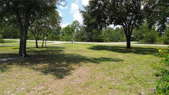 2430 Gresham St, Sebring, FL 33875 - view of grassy yard