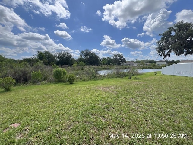 3188 Nubbin Ridge Ln, Zephyrhills, FL 33540 - view of yard with a water view