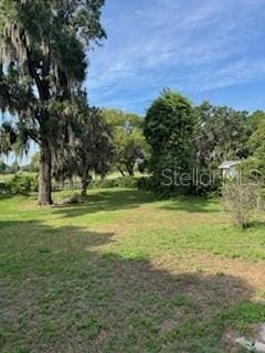 1215 E Edgewood Dr, Lakeland, FL 33803 - photo 37