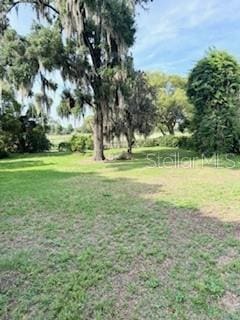 1215 E Edgewood Dr, Lakeland, FL 33803 - photo 39