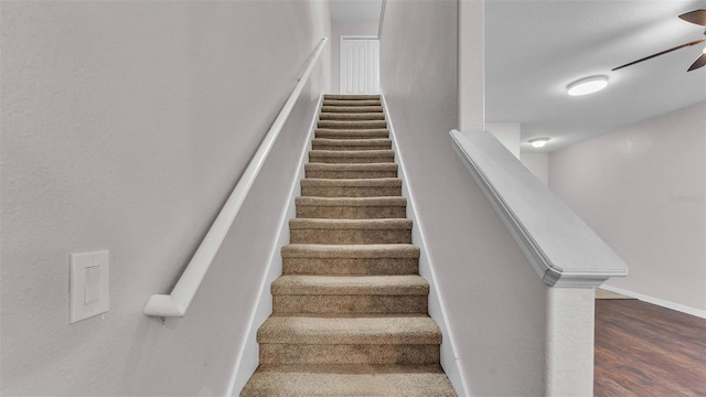 2622 Lantern Hill Ave, Brandon, FL 33511 - photo 12