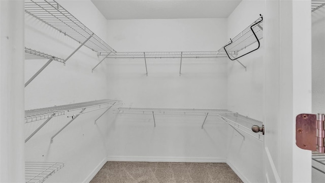 2622 Lantern Hill Ave, Brandon, FL 33511 - photo 19