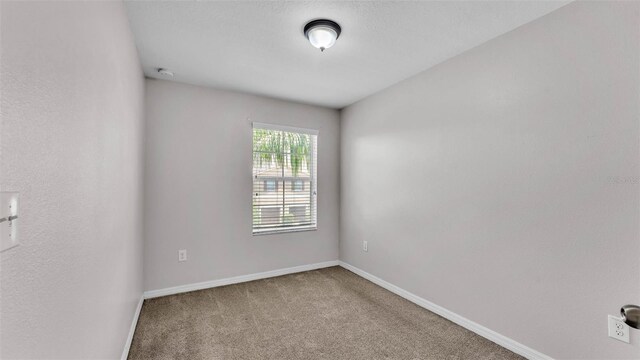 2622 Lantern Hill Ave, Brandon, FL 33511 - photo 28