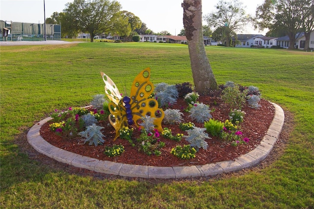 3487 Highland Fairways Blvd, Lakeland, FL 33810 - view of green lawn with a residential view