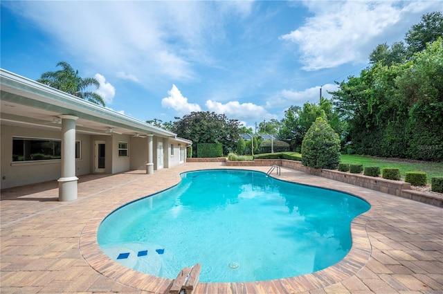 1235 Lake Point Dr, Lakeland, FL 33813 - outdoor pool featuring a patio area and a ceiling fan