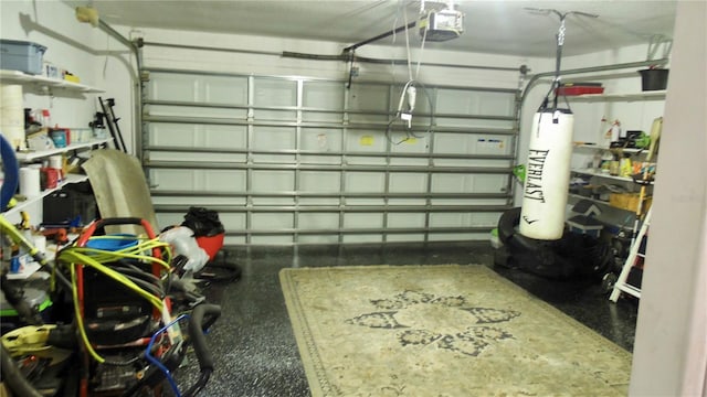 550 Patton Loop, Bartow, FL 33830 - garage featuring gas water heater and a garage door opener