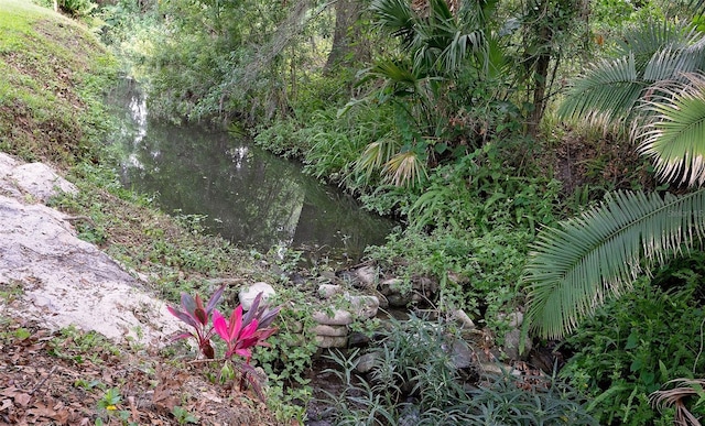 2331 D R Bryant Rd, Lakeland, FL 33810 - view of nature