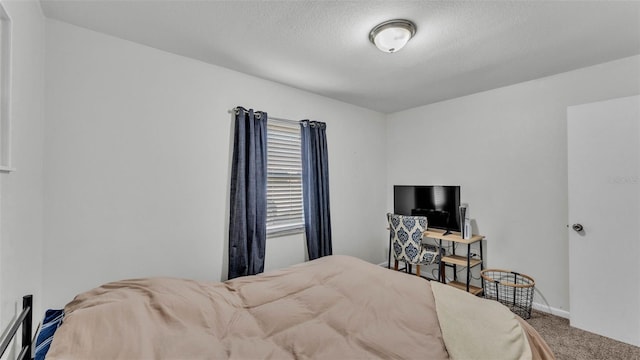 934 Point View Ln, Lakeland, FL 33813 - carpeted bedroom featuring a textured ceiling and baseboards