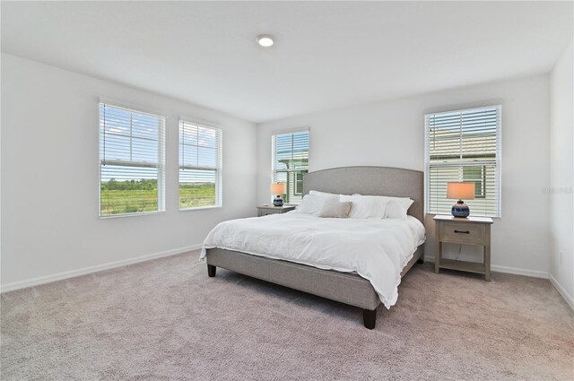 1754 Sanibel Dr, Davenport, FL 33896 - bedroom featuring light carpet and baseboards